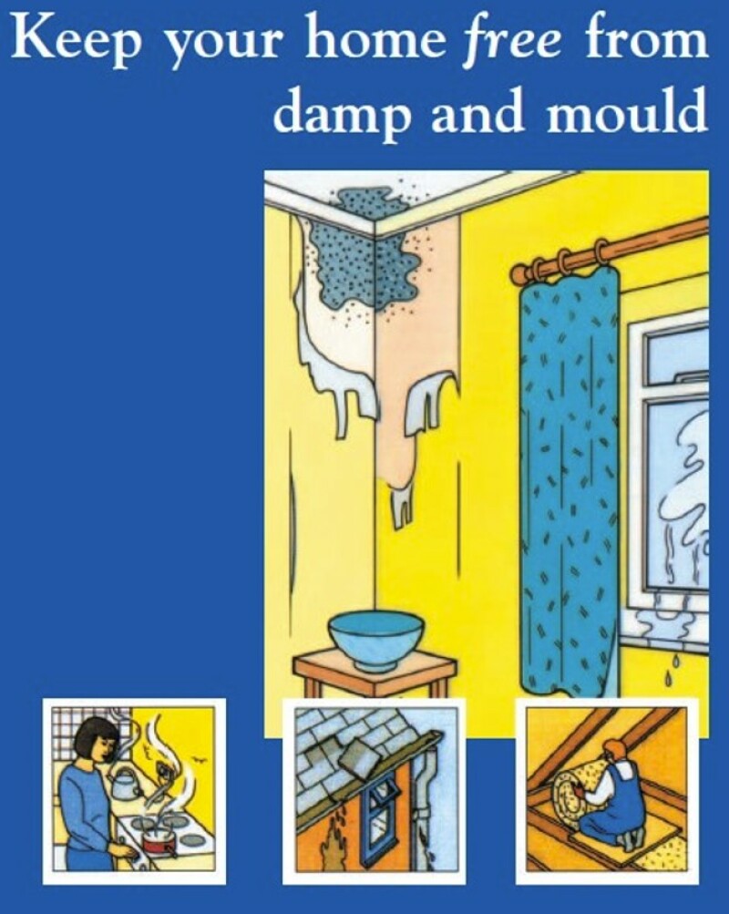 Damp and Mould